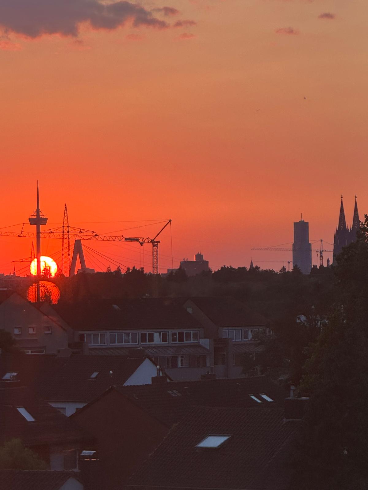 Kölner Skyline im Sonnenuntergang mit Dom und Colonius